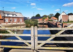 La mare (Tocqueville-sur-Eu) - Petit-Caux